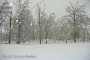 Front Yard Area