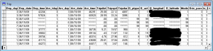 Table showing asterisks in some fields that should be numbers.