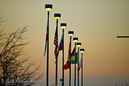 Flags