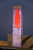Coke Bottle